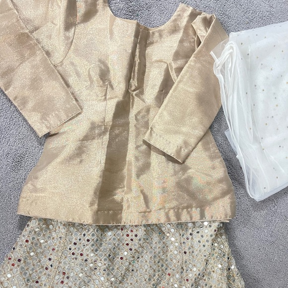 Lehanga choli - Picture 3 of 6